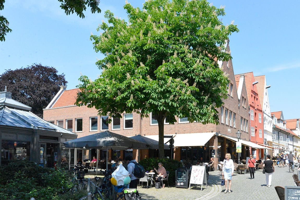 Schröderstraße Lüneburg